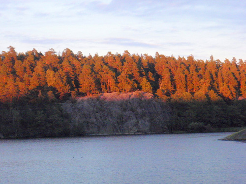 Stockholm River/Dinner Cruise.